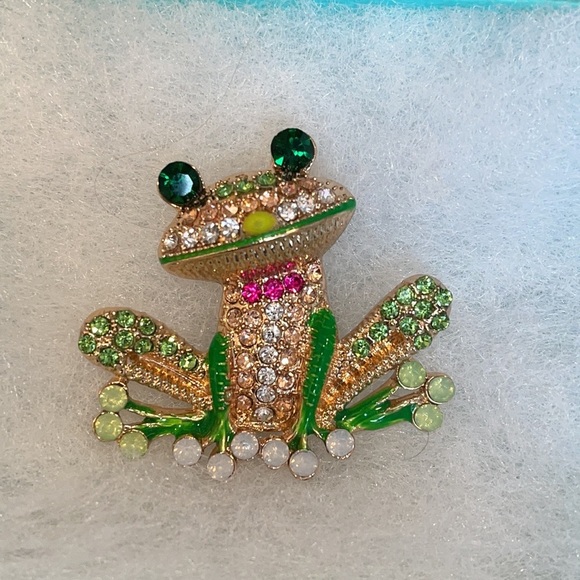 Frog Brooch Pins for Women Men, Enamel Rhinestone Colorful - Picture 4 of 8